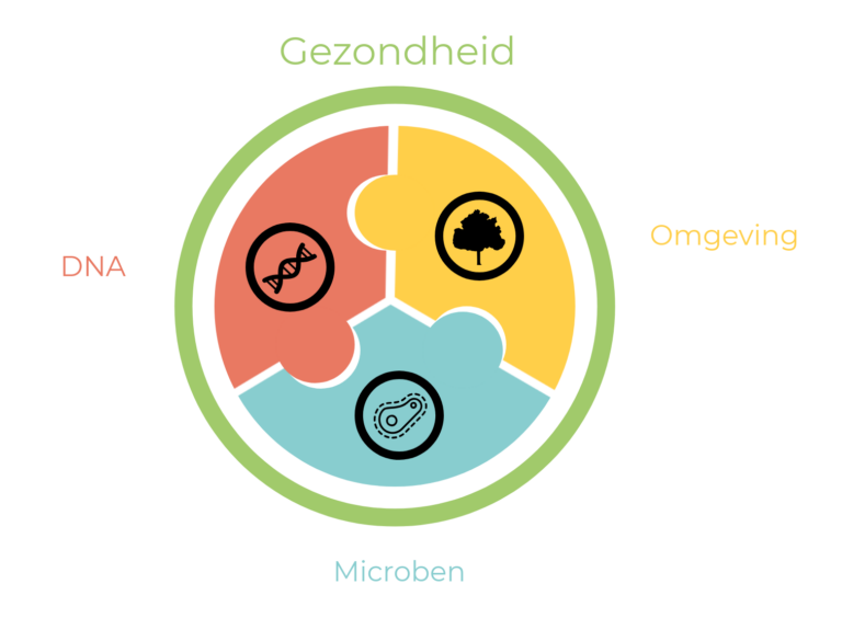 Functionele geneeskunde